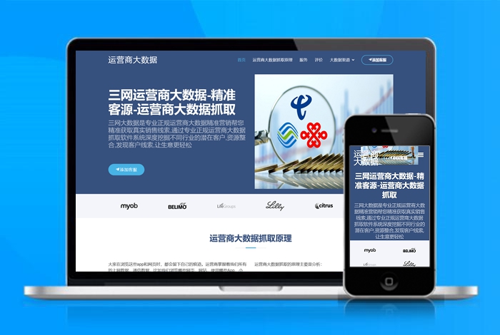 运营商 推广页 APP导航 推广 软件下载 着陆页 落地页 引导页