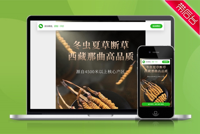 冬虫夏草 药材 简介 单页 HTML5 推广 软件下载 着陆页 落地页 引导页【带后台】