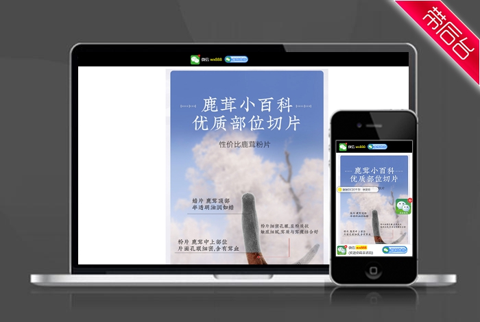 冬虫夏草 药材 简介 单页 HTML5 推广 软件下载 着陆页 落地页 引导页【带后台】