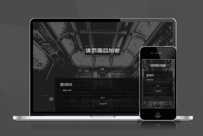 加密页面 密码访问 下载页 APP导航 推广 软件下载 着陆页 落地页 引导页
