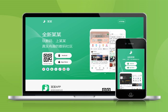 数码 商城 资讯 APP下载页 宣传页 着陆页 落地页 引导页