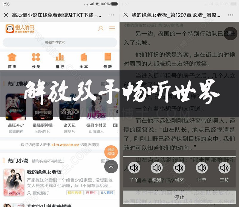 PT小说网带听书功能，仿蜻蜓听书，全自动采集，带手机版